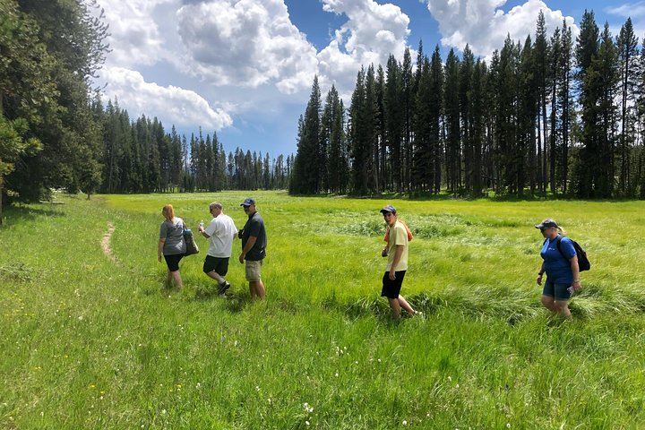 Private Hidden Gems of Yellowstone! Lunch w/ family friendly hikes included! - Photo 1 of 19